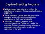 Does Captive Breeding Programmes Increase Biodiversity?