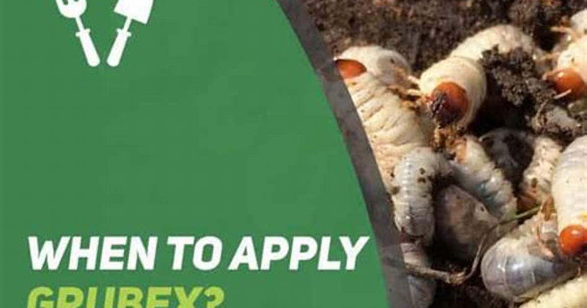 Does Carbaryl Kill Grubs