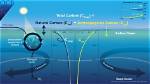 Does Carbon Absorb Heat?