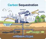 Does Carbon Capture and Sequestration Work?