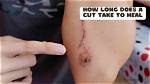 Does Care Com Take a Cut?