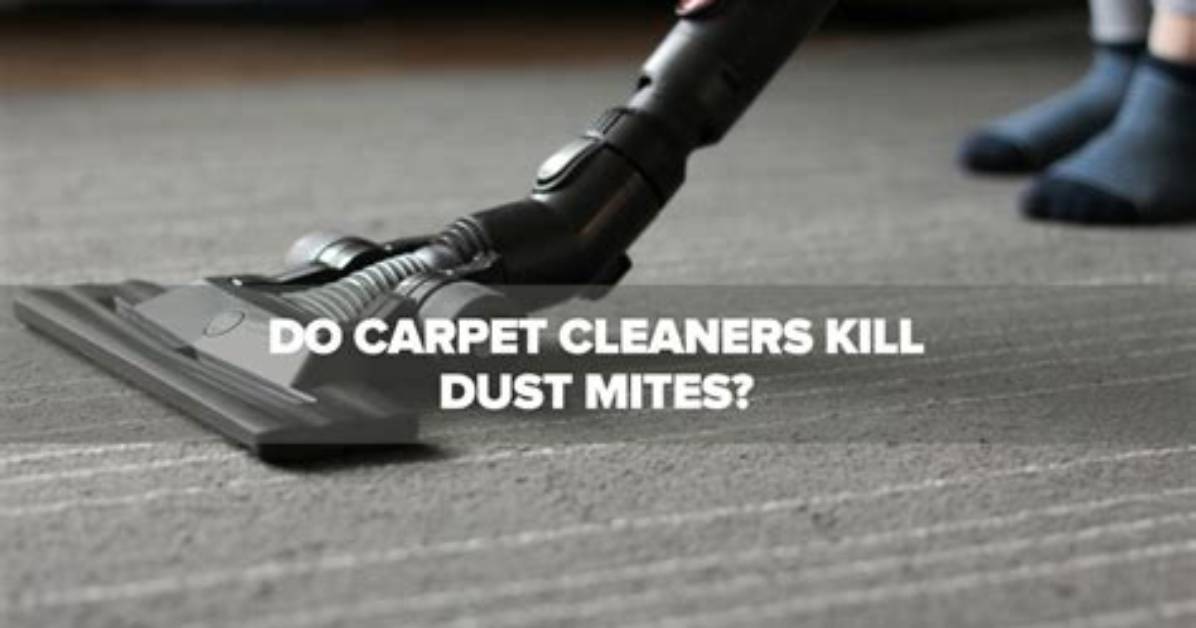 Does Carpet Cause Dust