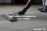 Does Carpet Cause Dust