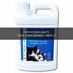 Does Cat Spray Smell?