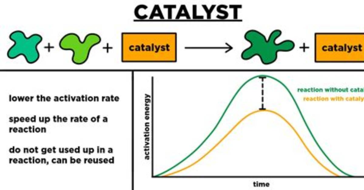Does Catalyst Accelerates a Reaction?