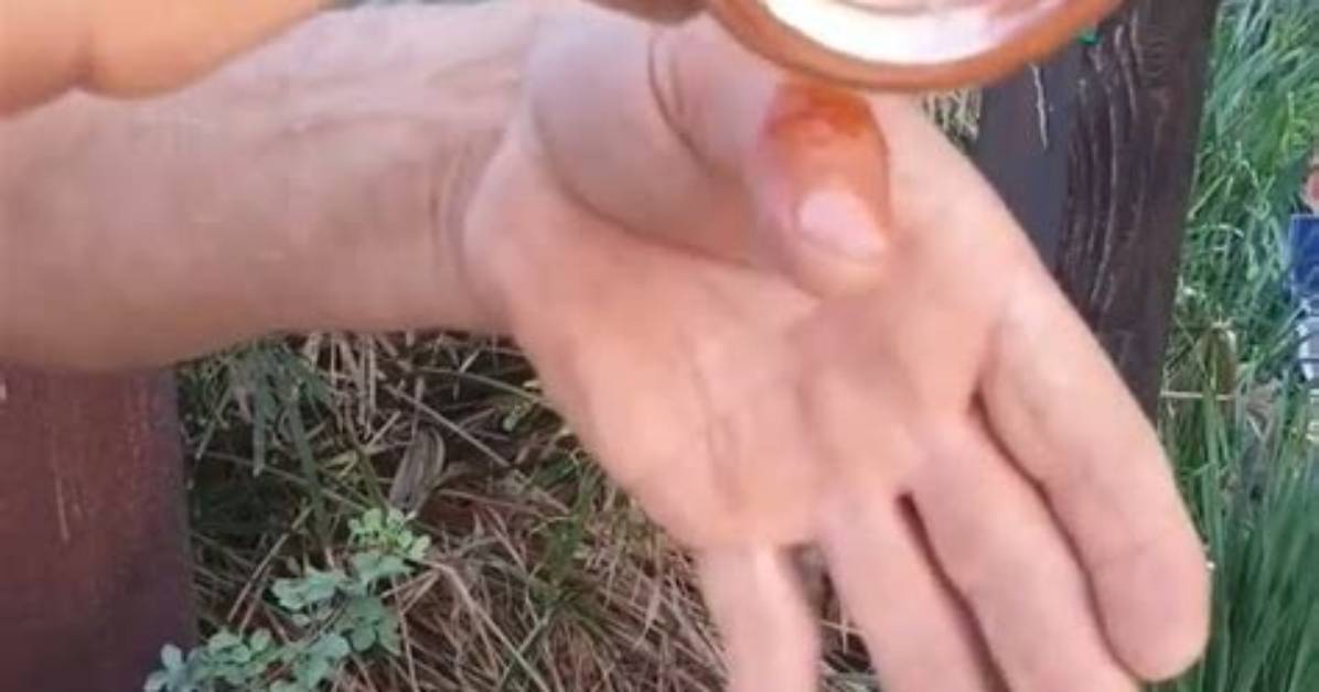 Does Cayenne Stop Bleeding?