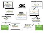 Does Cbc with Diff Include Anc?