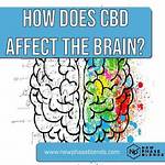 Does Cbd Affect Your Mind?