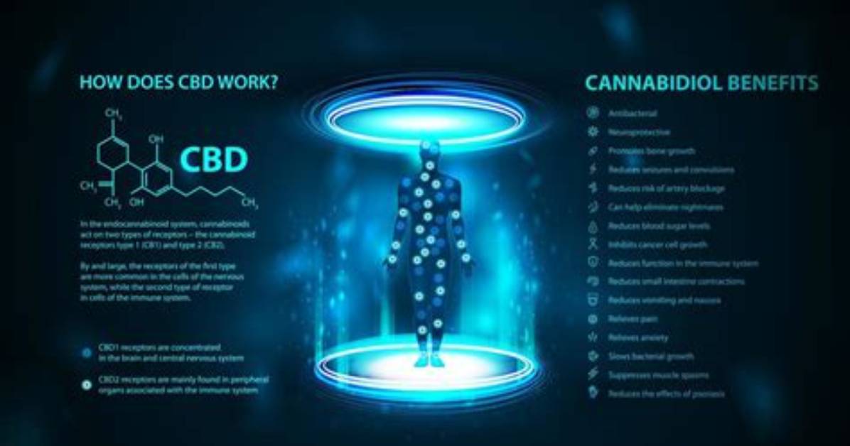 Does Cbd Work for Sciatica?
