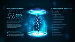 Does Cbd Work for Sciatica?