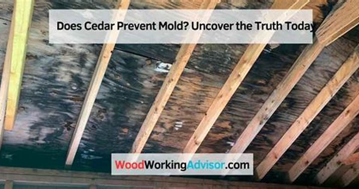 Does Cedar Resist Mold