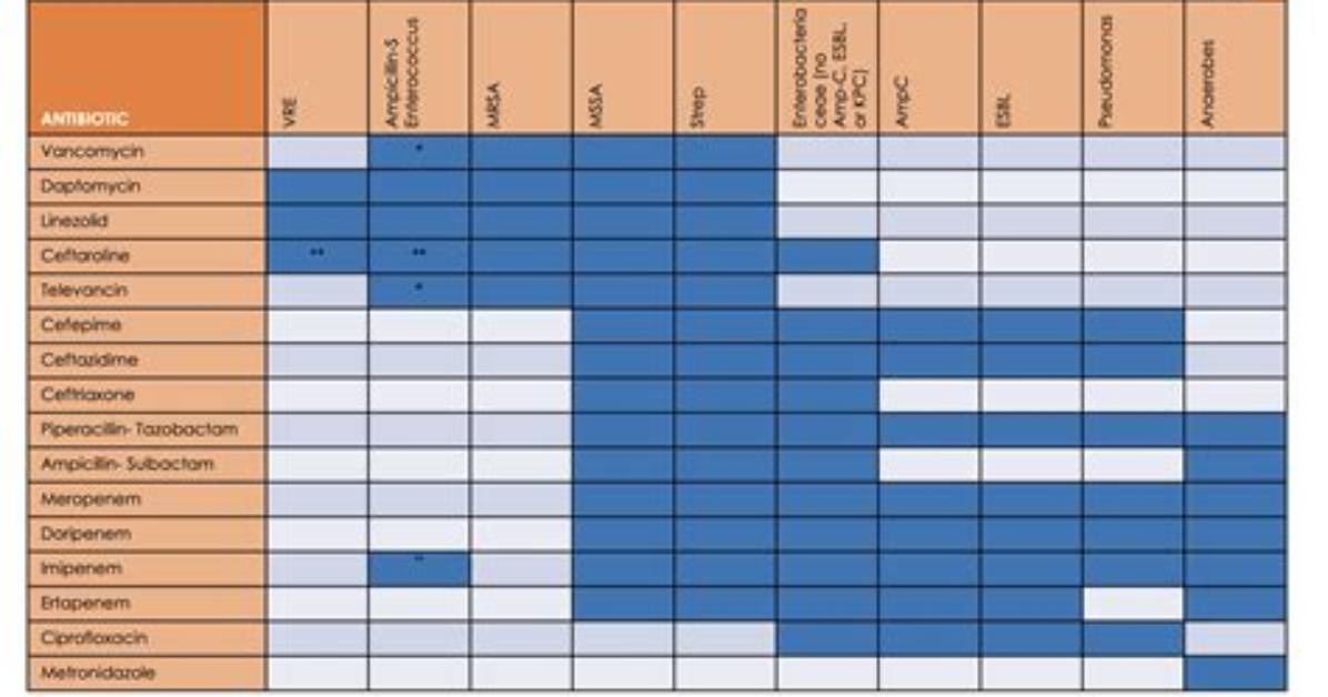 Does Cefepime Cover Enterococcus?