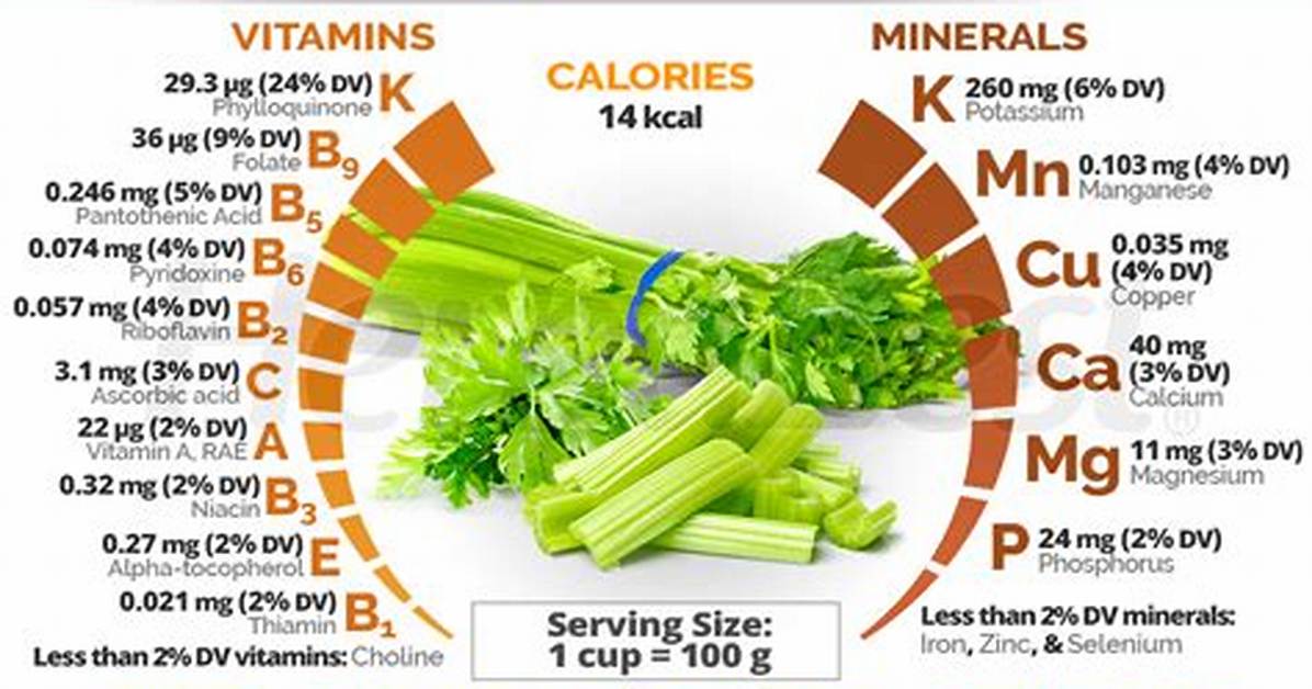 Does Celery Have Fiber