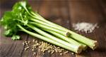 Does Celery Have Seeds?