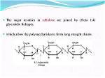 Does Cellulose Contain Nitrogen?