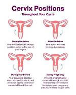 Does Cervix Close Immediately After Conception?