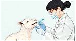 Does Cetaphil Test on Animals?