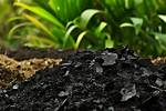 Does Charcoal Improve Soil