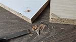 Does Chipboard Dry out?