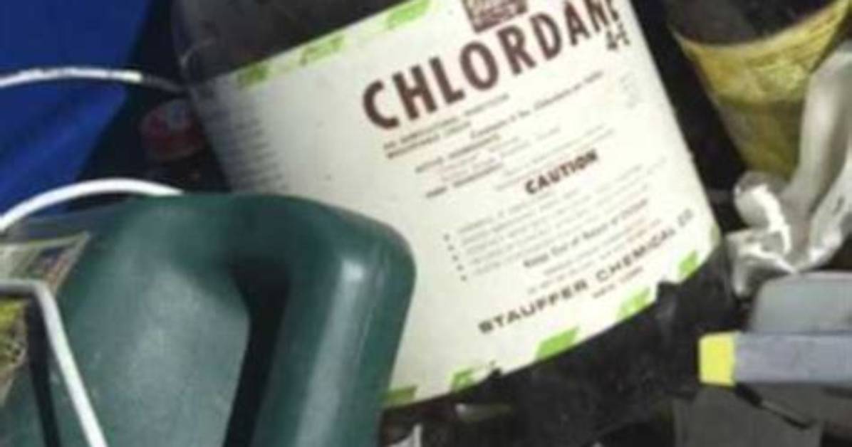 Does Chlordane Kill Ants?