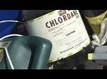 Does Chlordane Kill Ants?