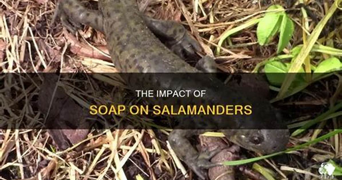 Does Chlorine Kill Salamanders?