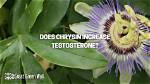 Does Chrysin Increase Testosterone?