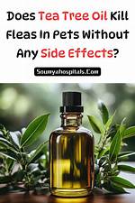 Does Citrus Kill Fleas