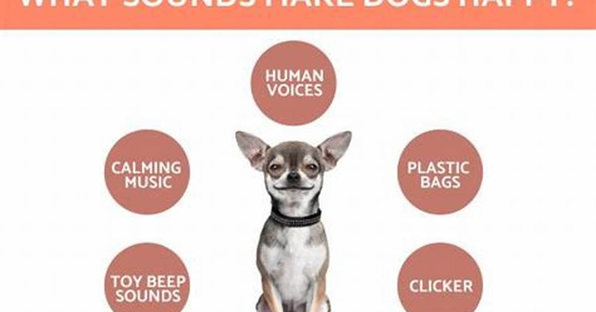 Does Clapping Make Dogs Happy?