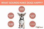 Does Clapping Make Dogs Happy?