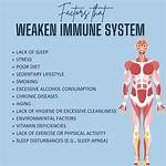 Does Cleanliness Affect Immune System?