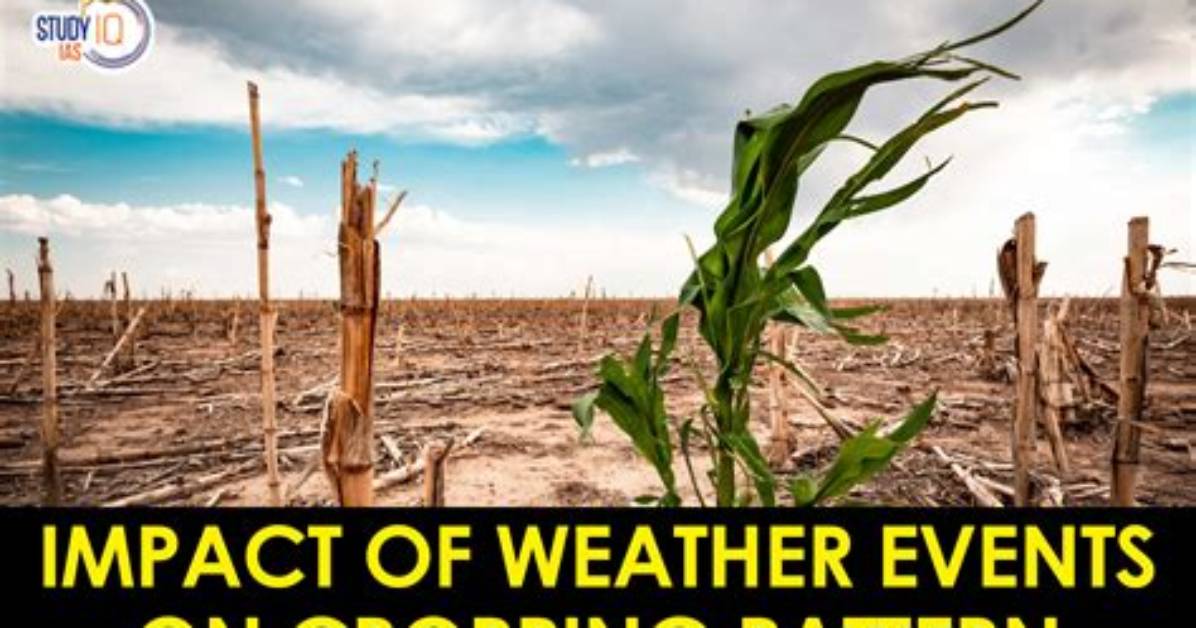 Does Climate Affect the Cropping Pattern in India?