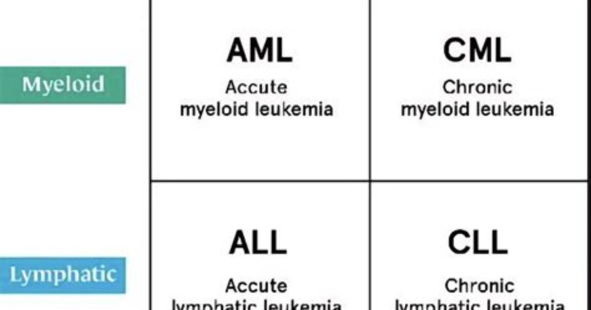 Does Cml Turn into Aml?