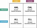 Does Cml Turn into Aml?