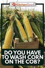 Does Cob Wash Away