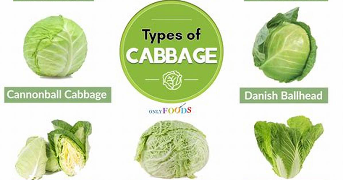 Does Cole Mean Cabbage