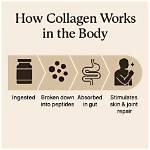 Does Collagen Really Works?