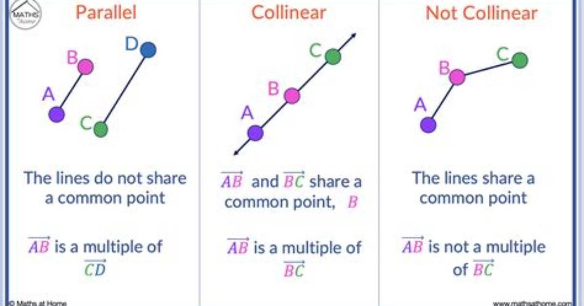 Does Collinear Mean Parallel?