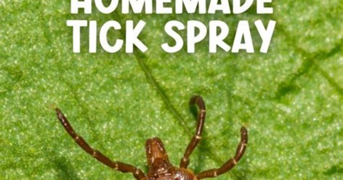 Does Comboguard Kill Ticks?