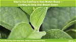 Does Comfrey Heal Broken Bones?