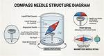 Does Compass Needle Point?