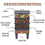 Does Compost Attract Vermin?