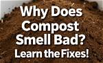 Does Compost Smell Bad
