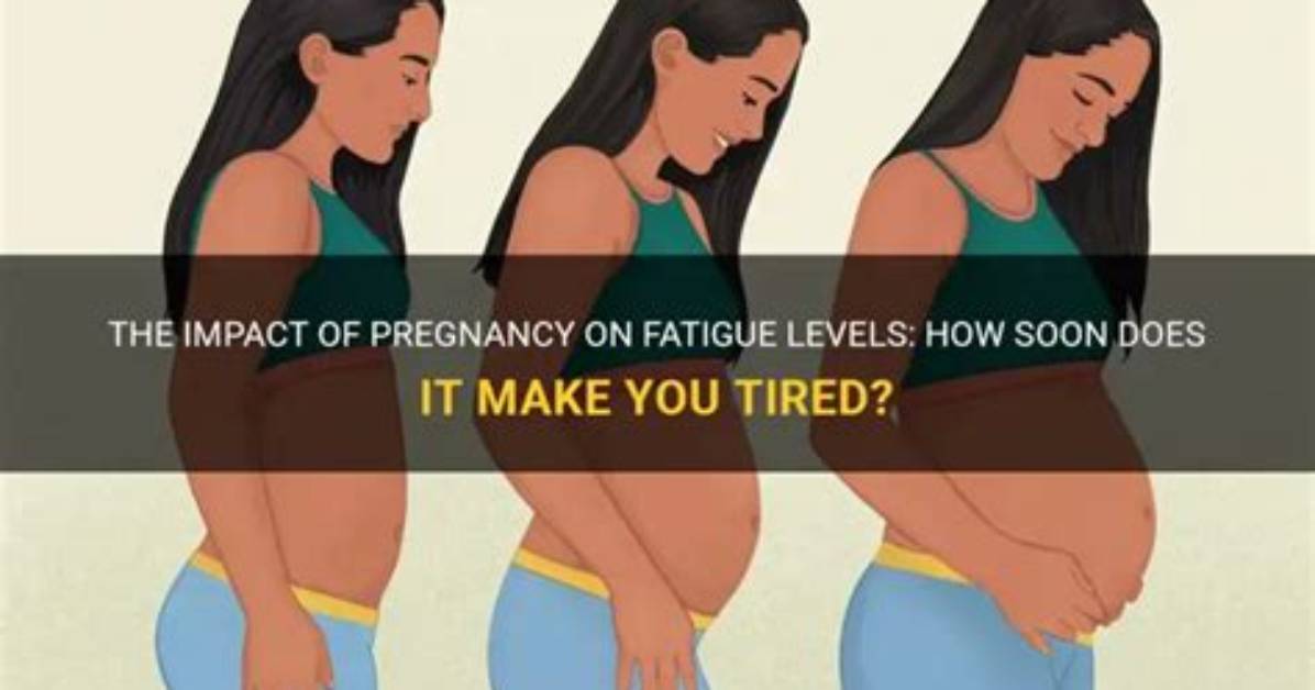 Does Conception Make You Tired?