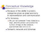 Does Conceptual Knowledge Mean?