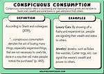 Does Conspicuous Consumption Mean?