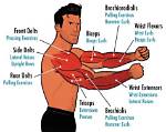 Does Construction Work Build Muscle?