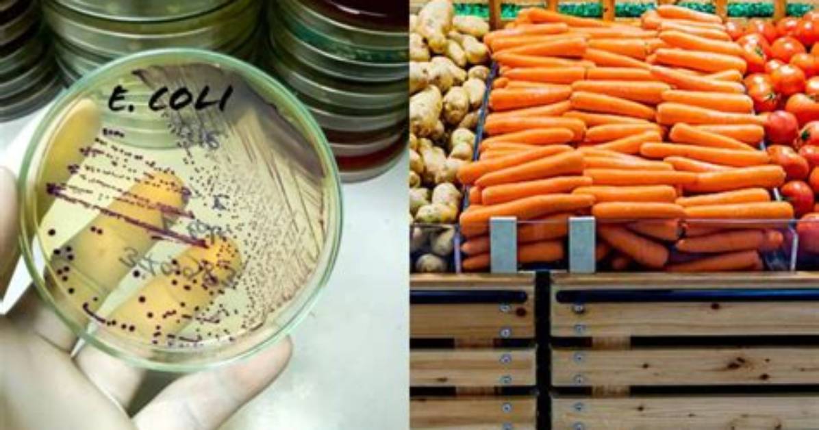 Does Cooking Kill E Coli?