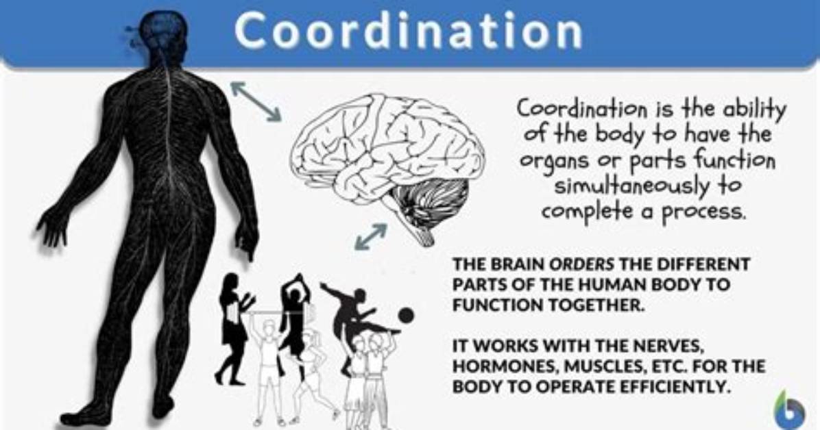 Does Coordination Have Plural?