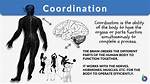 Does Coordination Have Plural?